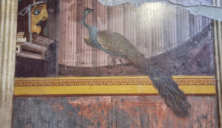 Campania: Pompei+Herculaneum+Vesuvius audio guide - Vesuvius, with audio for an outdoor visit