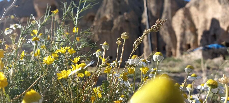 Cappadocia: Derinkuyu, Selime, Nar Crater Lake & Ihlara Tour - A quiet pause at Nar Crater Lake
