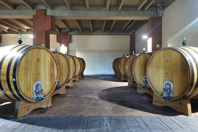 Castelmola and Etna Wine Tasting Tour from Messina - Why this Messina day trip works well