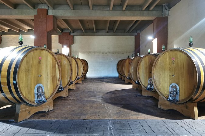 Castelmola and Etna Wine Tasting Tour from Messina - From volcanic slopes to Passopisciaro