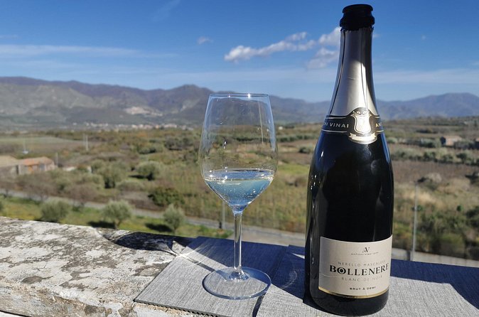 Castelmola and Etna Wine Tasting Tour from Messina - Timing, fitness, and the small practical details