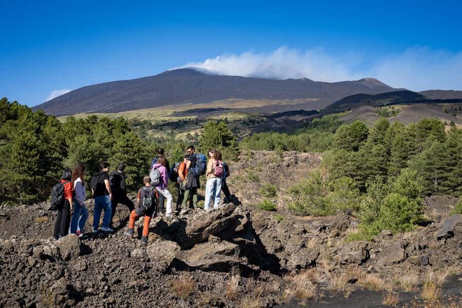 Catania: Amazing Etna Morning Tour with Pickup and Drop-Off - Why this Etna tour is worth your morning
