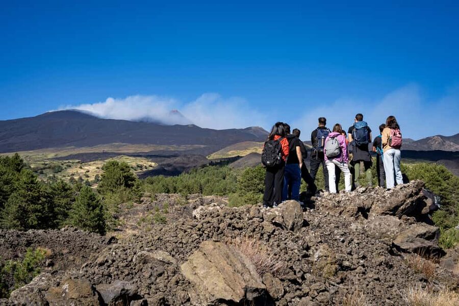 Catania: Amazing Etna Morning Tour with Pickup and Drop-Off - What the guide adds to the scenery