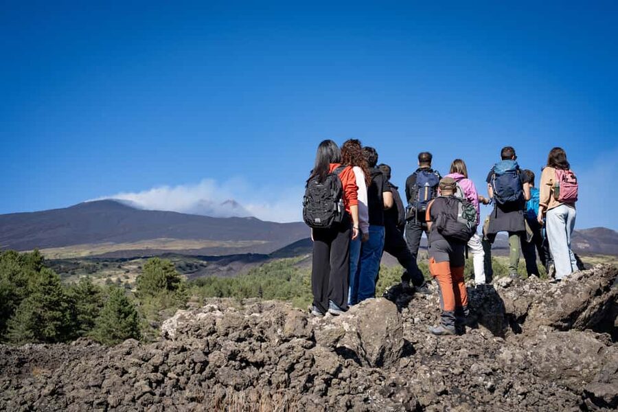 Catania: Amazing Etna Morning Tour with Pickup and Drop-Off - Small-group transport and practical comfort