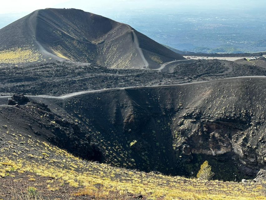 Catania: Etna Morning or Sunset Trek with Lava Tunnel & Gear - Etna’s plants, animals, and black volcanic ground
