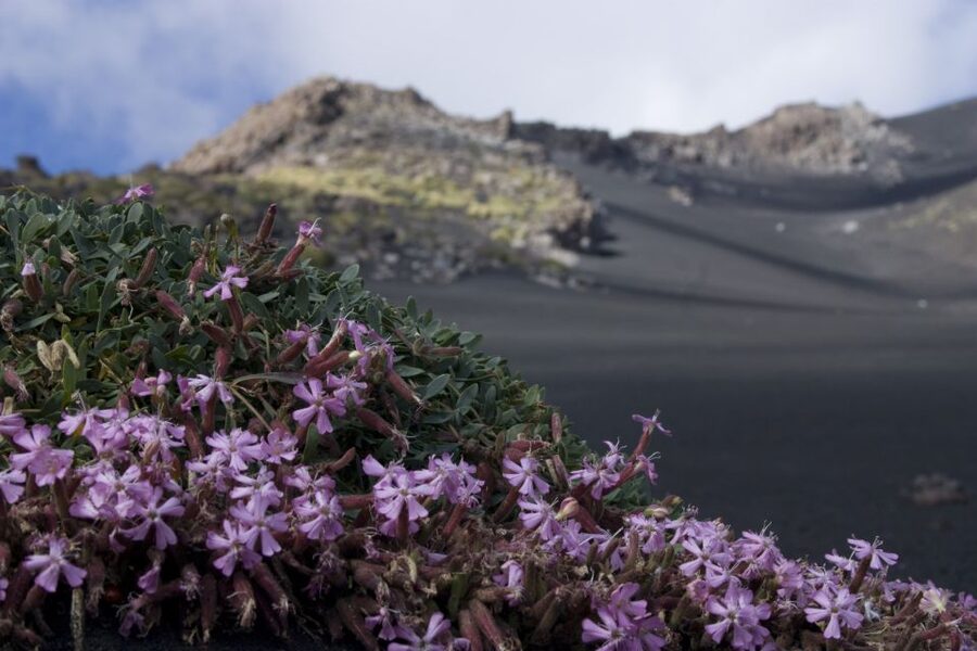 Catania: Etna Morning or Sunset Trek with Lava Tunnel & Gear - Morning or sunset: which departure should you choose?