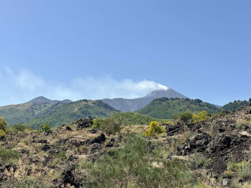 Catania: Etna Tour with licensed Tour Guide pickup & drop-of - Why this Etna trip works well from Catania