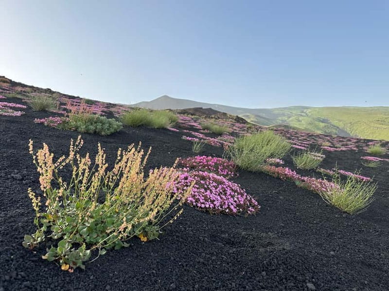 Catania: Etna Tour with licensed Tour Guide pickup & drop-of - The Valle del Bove and Etna’s larger story