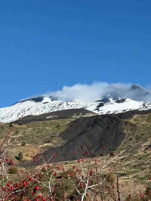 Catania: Morning Jeep Tour of Mount Etna and Lava Flow Caves - Rifugio Casa del Vescovo and the Valle del Bove