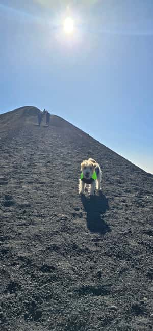 Catania: Morning tour of Etna with a visit to the Valle del Bove - The Valle del Bove and Etna’s volcanic past
