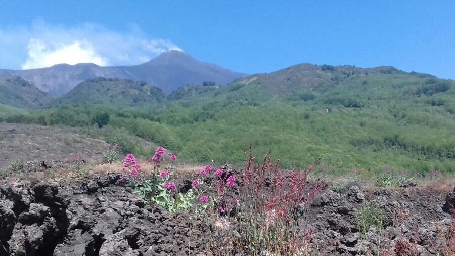 Catania: Mount Etna Sunset Tour and Etna Doc Wine - Valle del Bove and Monte Pomiciaro