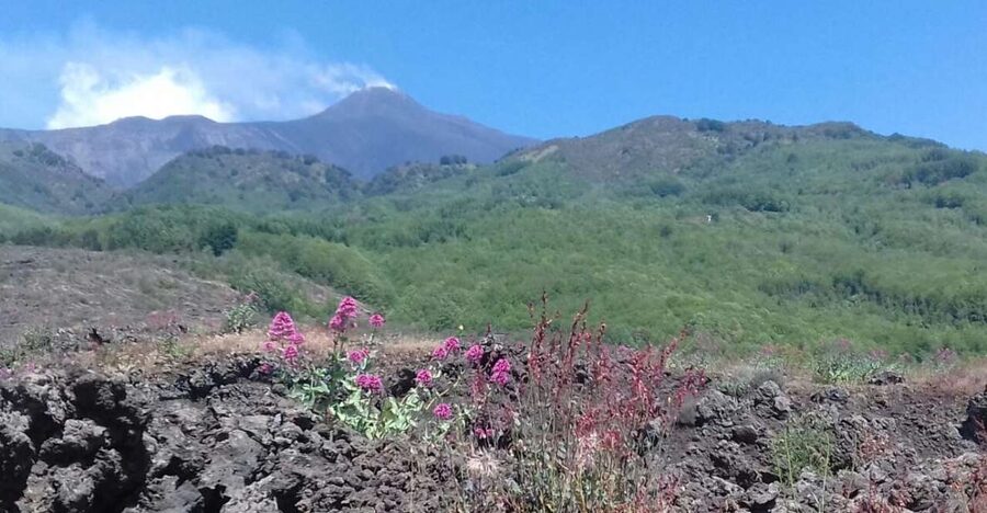 Catania: Mount Etna Sunset Tour and Etna Doc Wine - Silvestri Craters at 2,000 meters