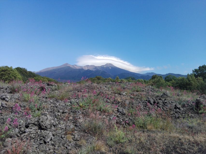 Catania: Mount Etna Sunset Tour and Etna Doc Wine - Who will enjoy this Etna tour most?