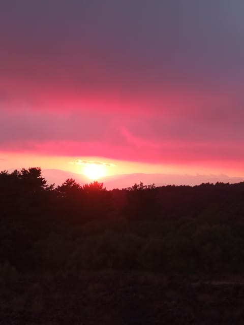 Catania: Mount Etna Sunset Trekking with Wine Tasting - The guides are the strongest part