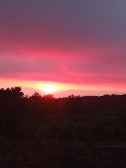 Catania: Mount Etna Sunset Trekking with Wine Tasting - Who should book this Mount Etna tour?