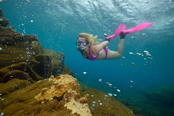 Champagne Reef Snorkeling Tour at volcanic hot Bubbles Dominica - Starting at Champagne Beach in Pointe Michel