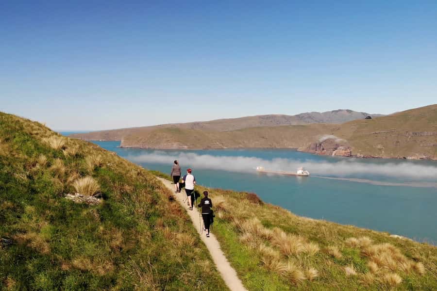 Christchurch: Guided Crater Rim Walk with Coastal Scenery - Why this walk works so well from Christchurch