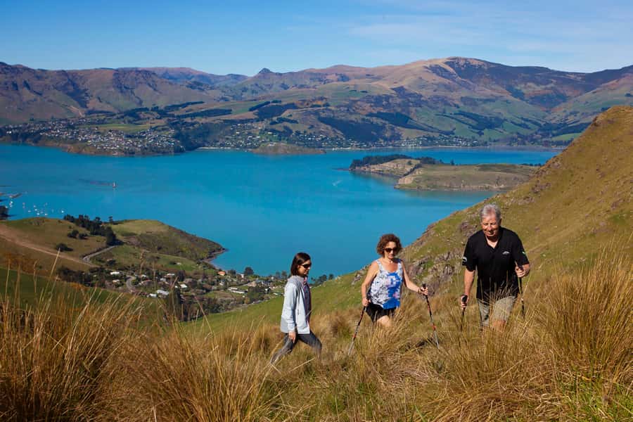 Christchurch: Guided Crater Rim Walk with Coastal Scenery - The viewpoint pause gives you room to breathe