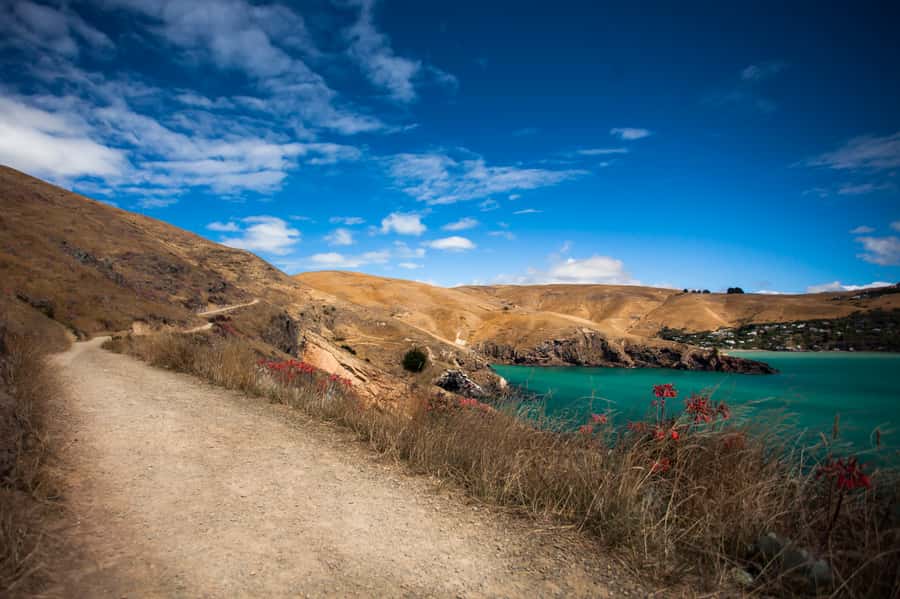 Christchurch: Guided Crater Rim Walk with Coastal Scenery - The return route adds more coastal views