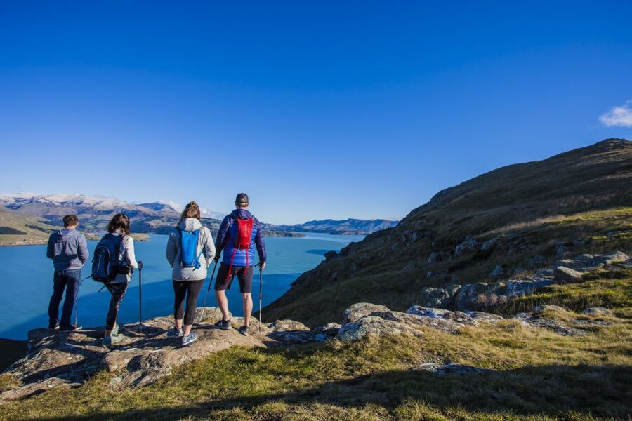 Christchurch: Guided Crater Rim Walk with Coastal Scenery - What the $140 price really covers