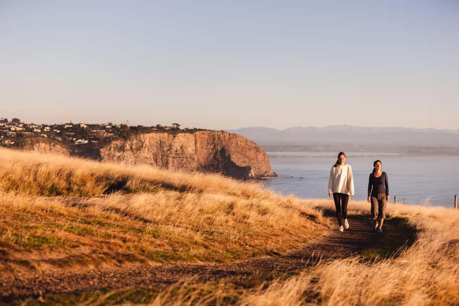 Christchurch: Guided Crater Rim Walk with Coastal Scenery - The drive begins with Sumner Beach