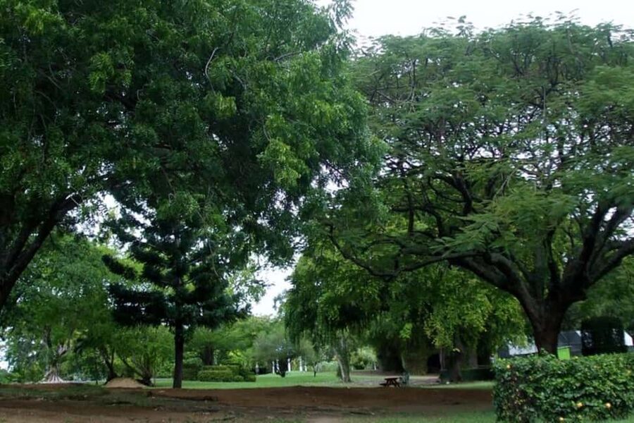 City Tour w/ Gardens, Volcano, Trafalgar Falls, Morne Bruce - Starting in Roseau with a local view