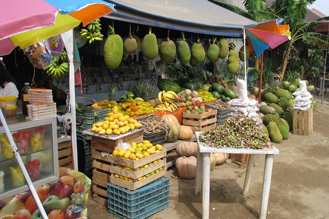 colima cultural and volcano - What this Colima and Comala day is really about