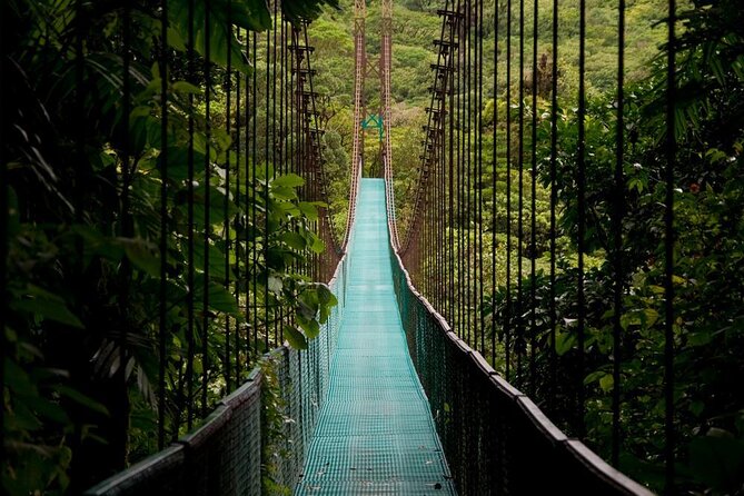 Combined Tour (Hanging Bridges, La Fortuna Waterfall, Arenal Volcano) - Why This Combined La Fortuna Tour Makes Sense