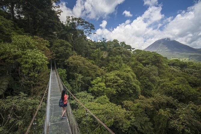 Combined Tour (Hanging Bridges, La Fortuna Waterfall, Arenal Volcano) - La Fortuna Waterfall and the Value of a Changing Pace