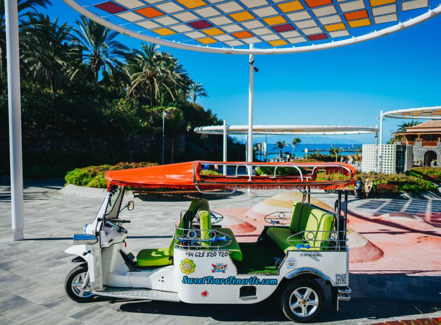 Costa Adeje: Secret Volcano Tuk Tuk Tour - Starting at Hotel Best Jacaranda and Puerto Colón