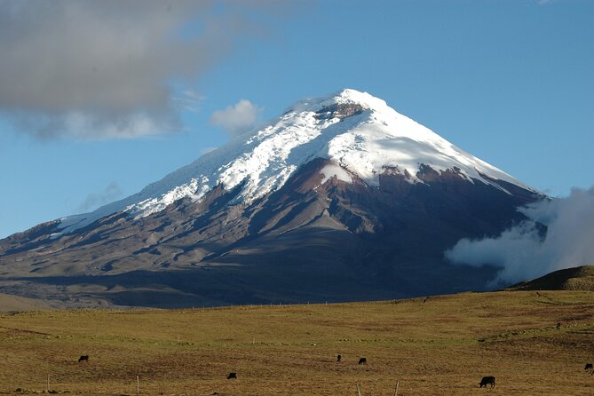 Cotopaxi Volcano Quest! - Limpiopungo Lagoon and the Park’s Wildlife