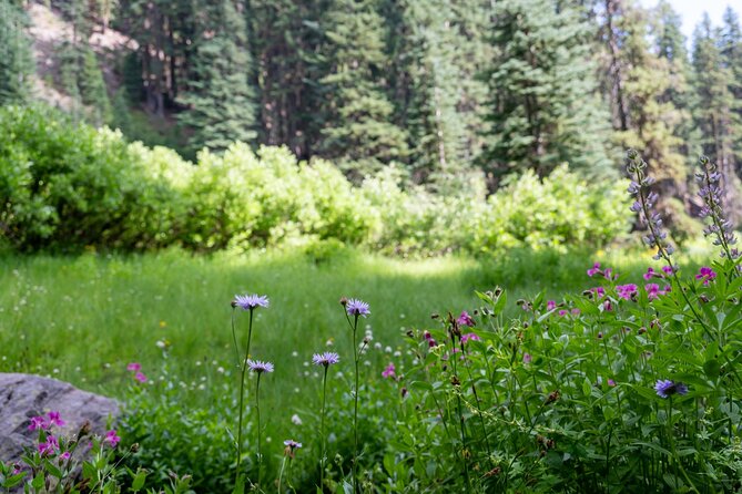 Crater Lake National Park Self-Guided Audio Tour - Sun Notch, Vidae Falls, and Castle Crest