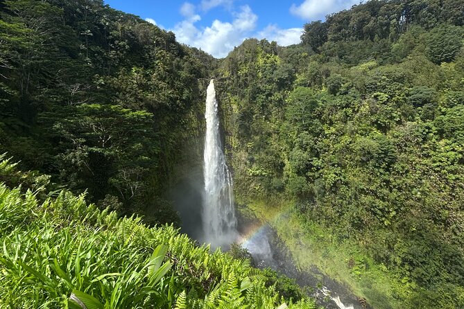 Cruise Ship Favorite Hilo Excursion Volcanoes and Akaka Falls - Akaka Falls begins the day with a short tropical walk