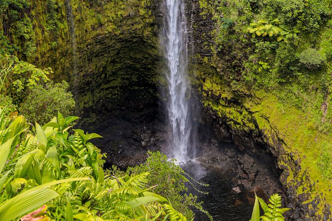 Cruise Ship Favorite Hilo Excursion Volcanoes and Akaka Falls - Timing and port logistics need careful attention