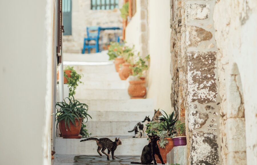 Cruise to Nisyros: Volcano, Nikia Village & Mandraki Trip - Nikia village and the short stop at 400 meters