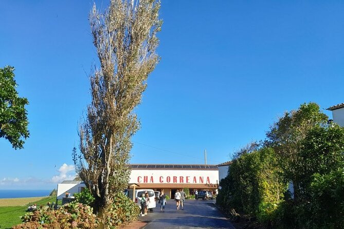 Cruise Travellers : Furnas Volcano & Terra Nostra Thermal Pool - Terra Nostra Park makes the admission fee worthwhile