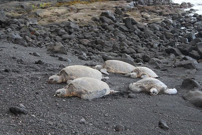 Custom Volcanoes National Park Tour with extra stops - Starting in Hilo and choosing your extras
