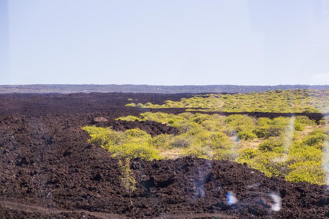 Day Trip from Oahu to Hilo: Volcano Adventure - Leaving Honolulu before sunrise