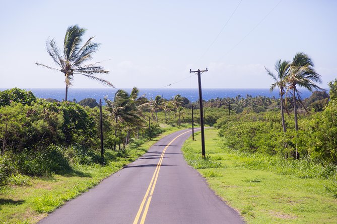 Day Trip from Oahu to Hilo: Volcano Adventure - Chain of Craters Road across the lava fields
