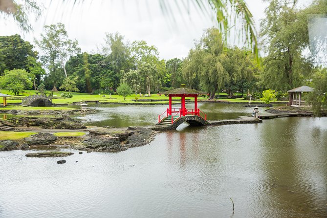 Day Trip from Oahu to Hilo: Volcano Adventure - Thurston Lava Tube, an ancient cave