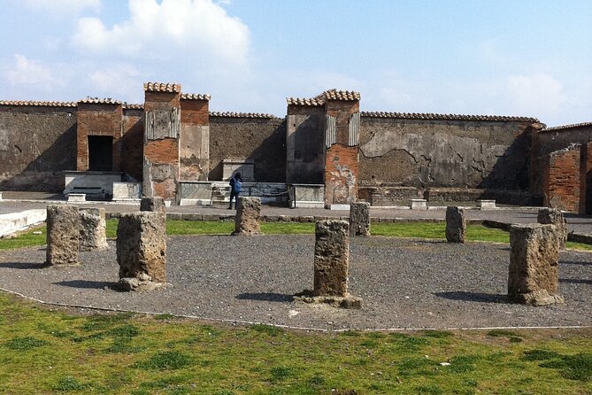 Day trip from Rome to Pompei Mt Vesuvius & Local Guide included - Reaching Mount Vesuvius by Minivan