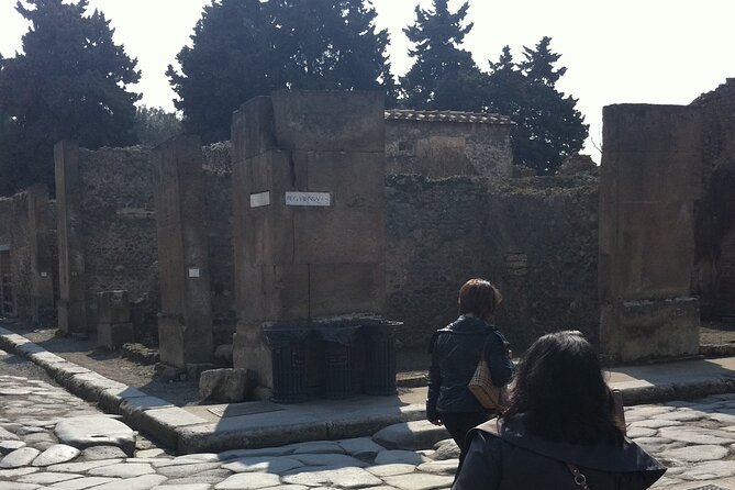 Day trip from Rome to Pompei Mt Vesuvius & Local Guide included - Two Hours Inside Pompeii’s Archaeological Park