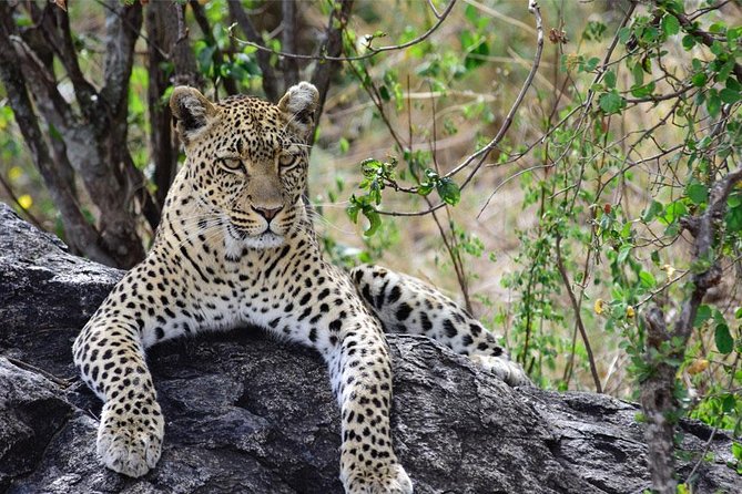 Day Trip to Ngorongoro Crater - Who will enjoy this Ngorongoro tour most