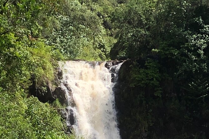 Diamond head crater trail , Sightseeing & South Side beach day - A guide-led day with room to adjust