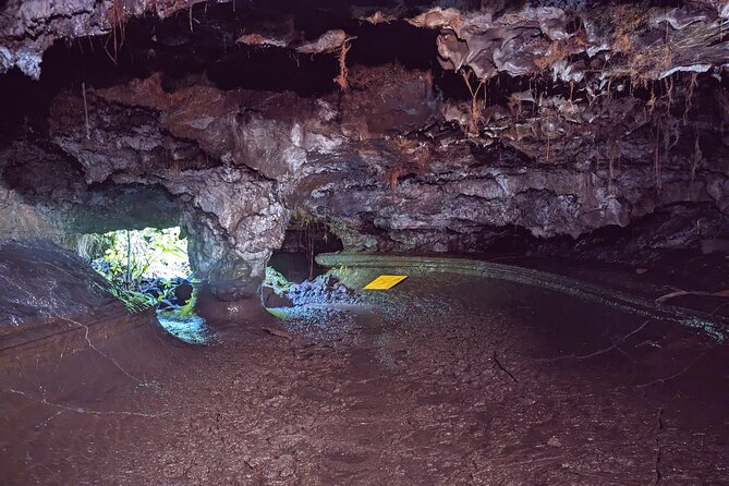 Discovery of the lava tubes 2004 of Piton de la Fournaise - What the guide adds to a dark cave