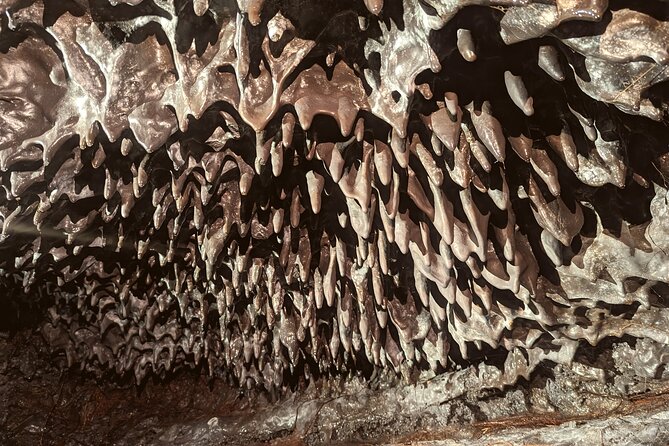 Discovery of the lava tubes 2004 of Piton de la Fournaise - Meeting in Sainte-Rose and getting ready