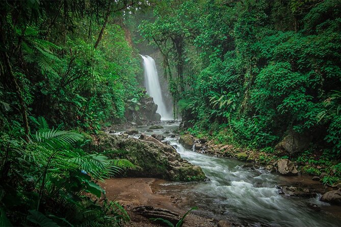 Doka Coffee Tour, Poas Volcano and La Paz Waterfall Day Trip from San Jose - Lunch and the real value of the $184 price