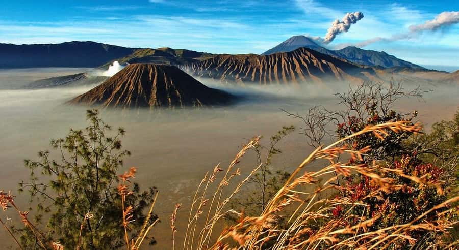 East Java: 3D2N Ijen Crater, Bromo, & Tumpak Sewu Waterfall - Who should book this East Java route?