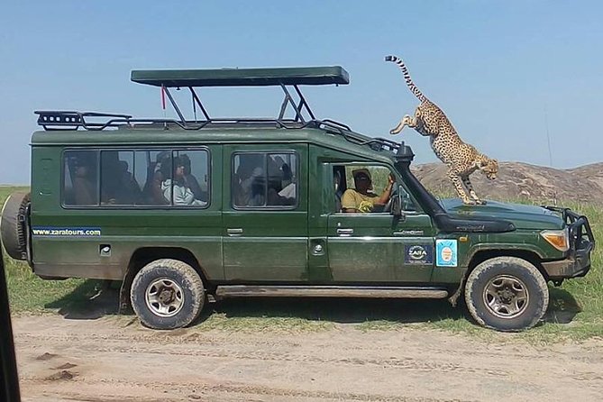 Elephant Special Serengeti & Ngorongoro Crater 5 Days / 4 Nights - Guides, vehicles, meals, and comfort on the road