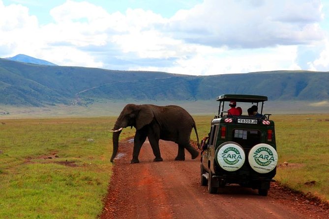 Elephant Special Serengeti & Ngorongoro Crater 5 Days / 4 Nights - Who should book this safari?